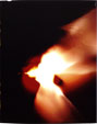 <h5>10x8 Inches, photogram on fujichrome velvia, 2000</h5>