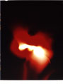 <h5>10x8 Inches, photogram on fujichrome velvia, 2000</h5>