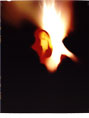 <h5>10x8 Inches, photogram on fujichrome  velvia, 2000</h5>