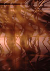 <h5>Iris Giclé Print, 1999</h5>