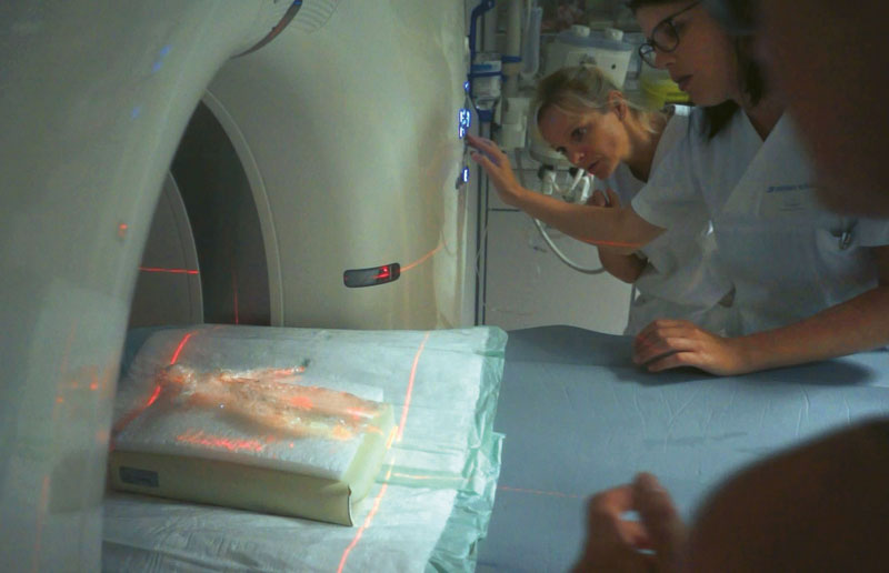 For ‚Scarbo', the foil figure was animated as a computer model. In the exhibition, the original was presented in correspondence with the ceiling projection. Credit: Stefan Stark.